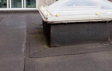 disadvantages of Ainderby Steeple flat roofs