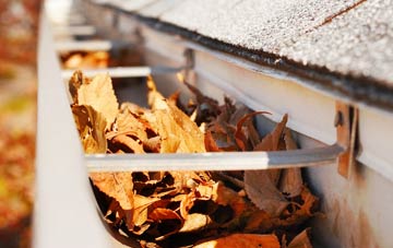 Ainderby Steeple gutter cleaning companies