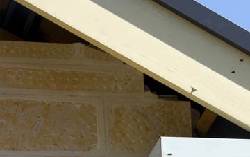 soffit repair Ainderby Steeple